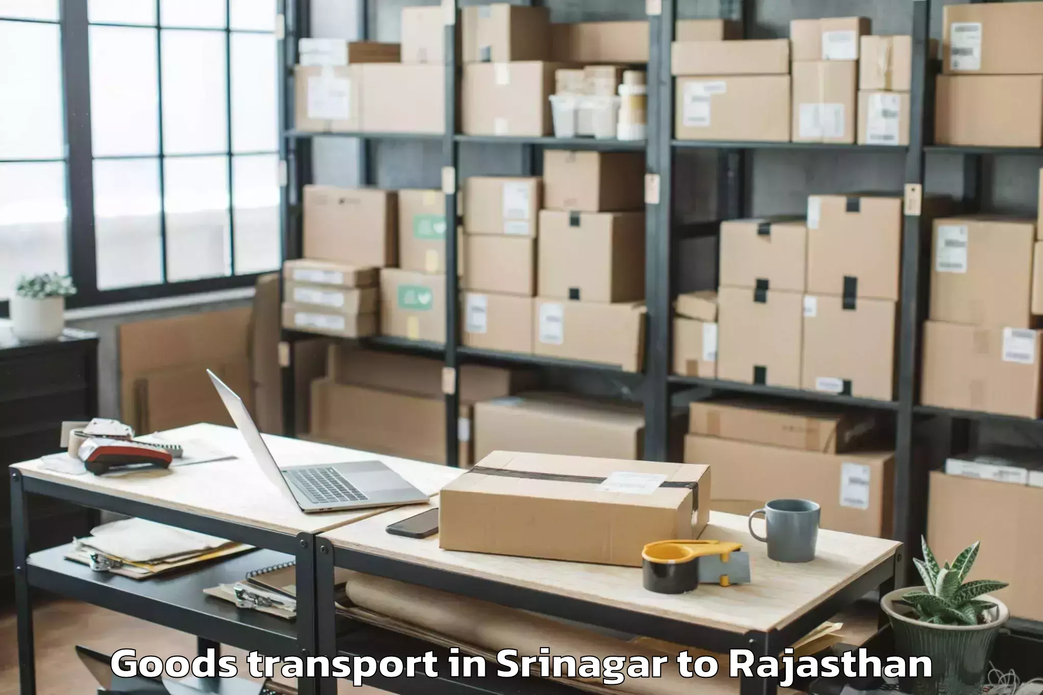 Affordable Srinagar to Raffles University Neemrana Goods Transport